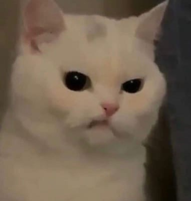 1617366425095.png