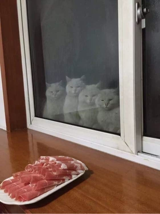 1617480708396.png