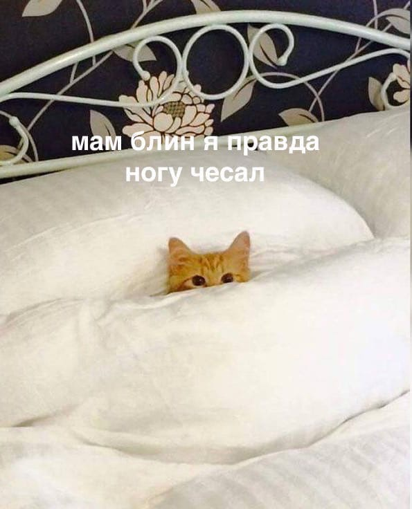 1617480785750.png