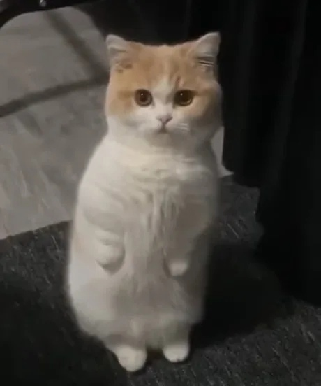 1617484094508.png