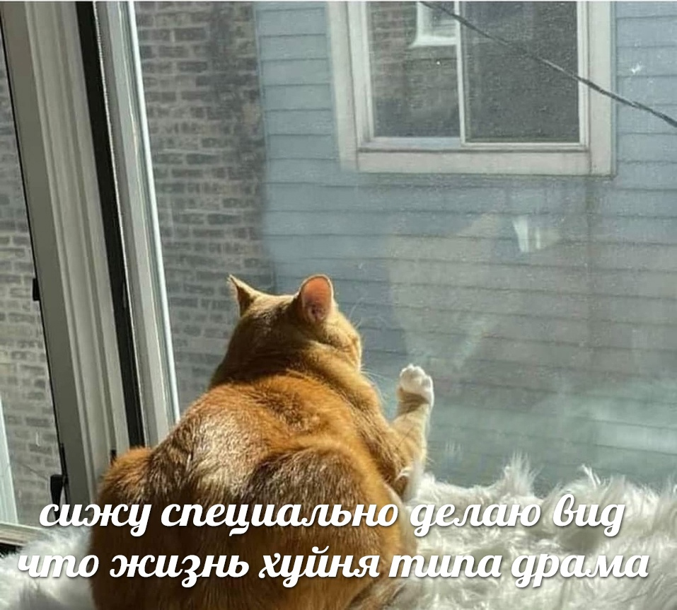 1617548099854.png