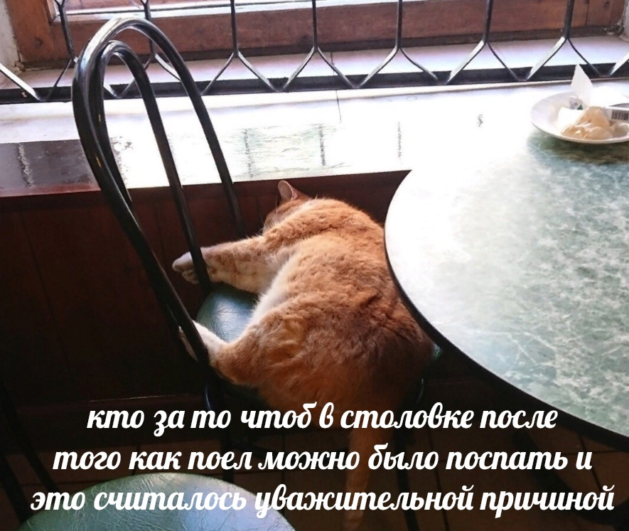 1617603427918.png