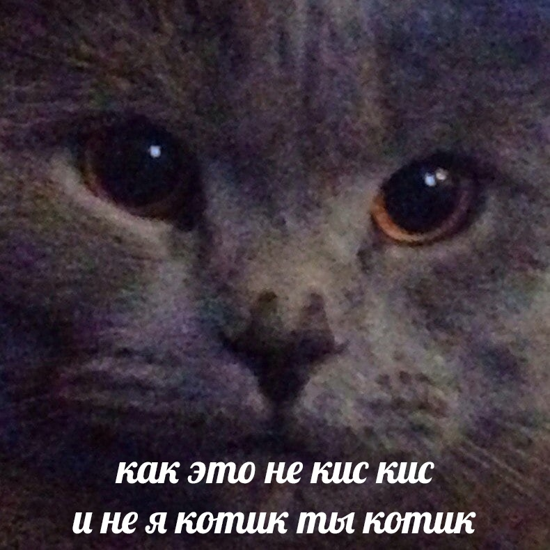 1617608213539.png