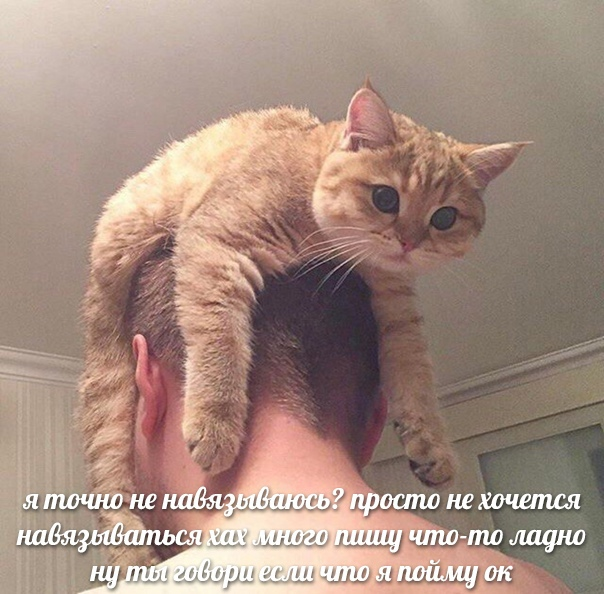 1617628390780.png