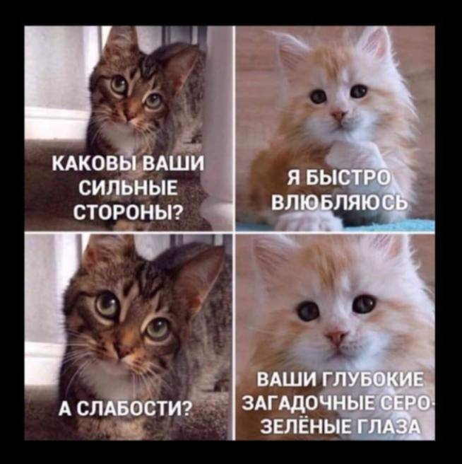 1617648904013.png