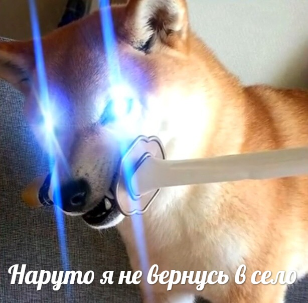 1617825886653.png
