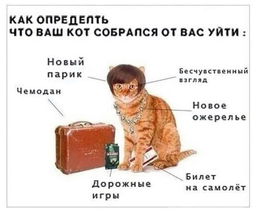 1617965066224.png