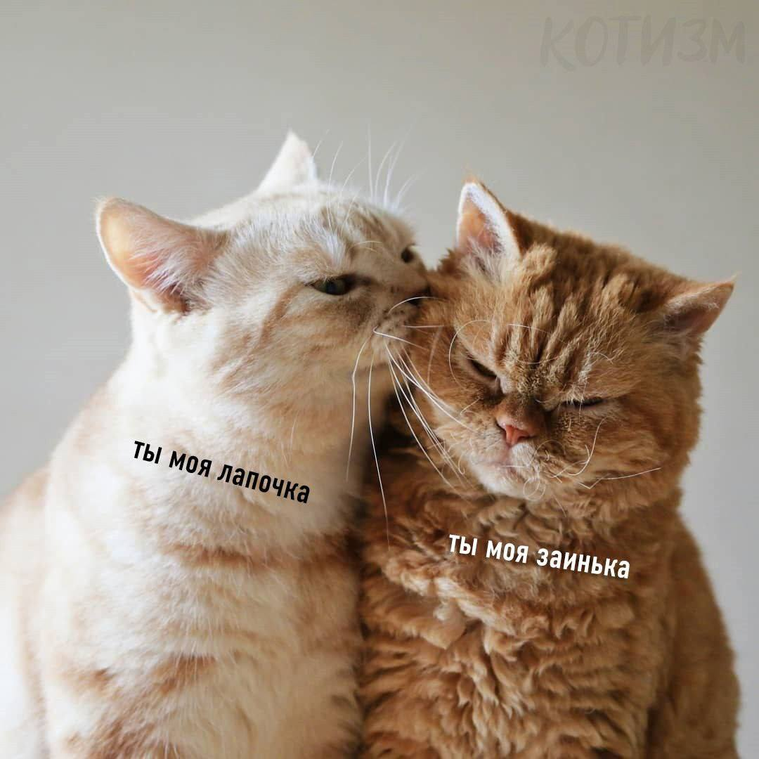 1617969734802.png