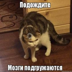 1618296323054.png