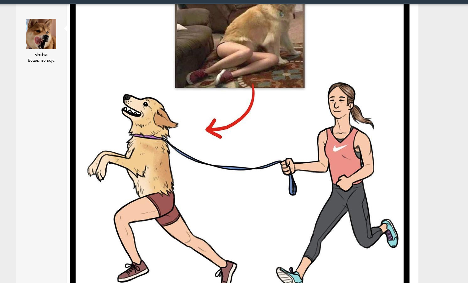 1618569363150.png