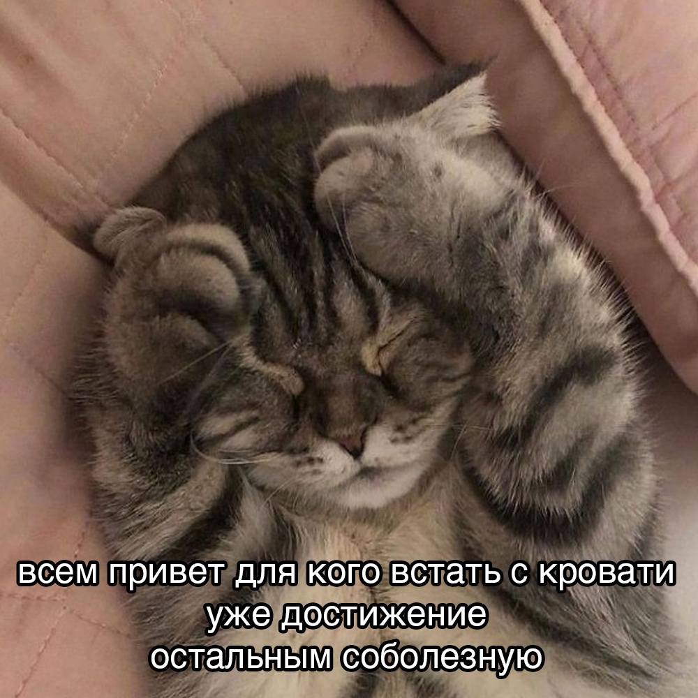 1619066239650.png