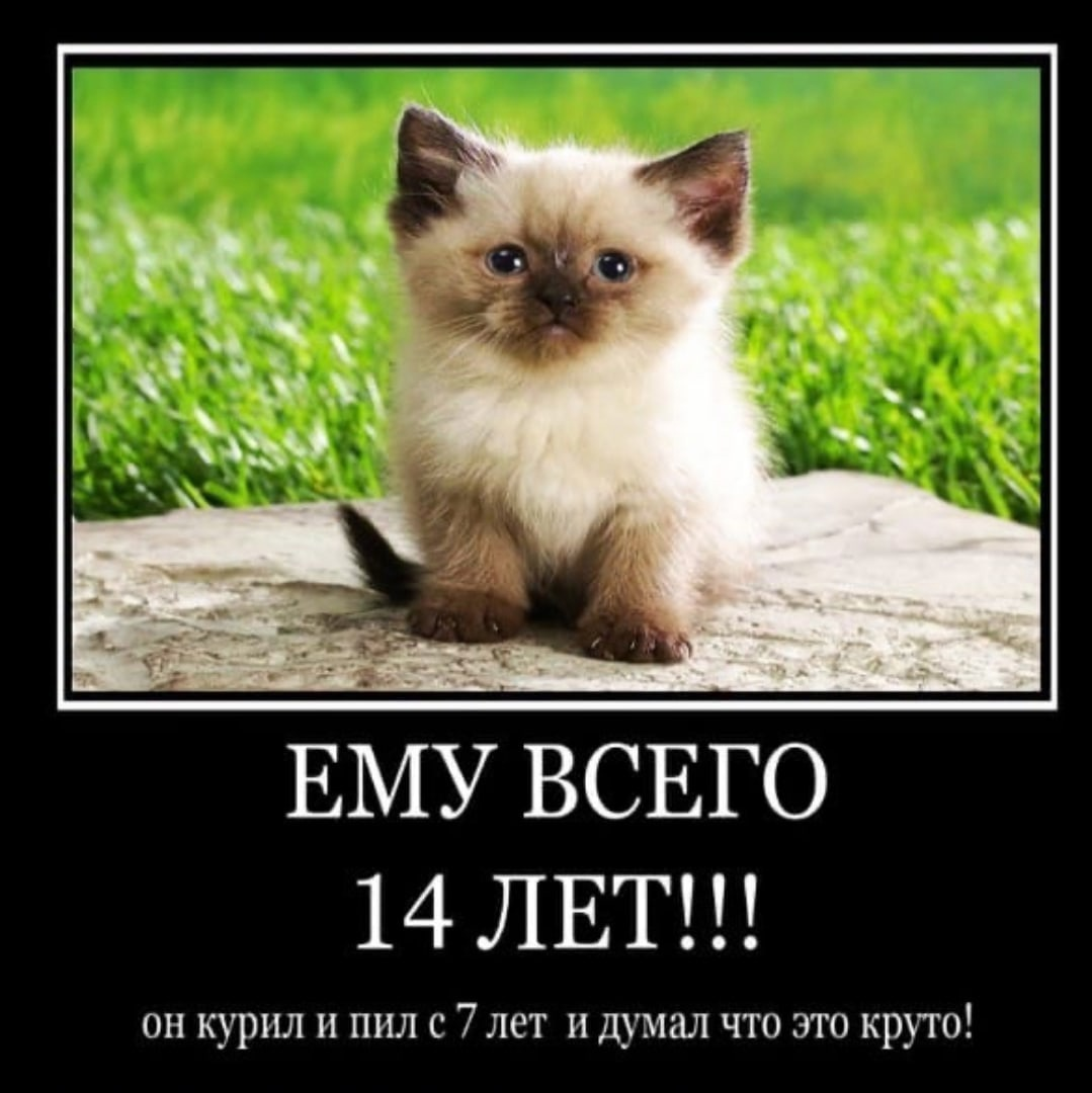 1619498396100.png