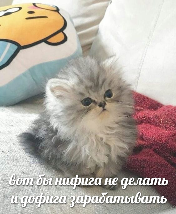 1620142118267.png