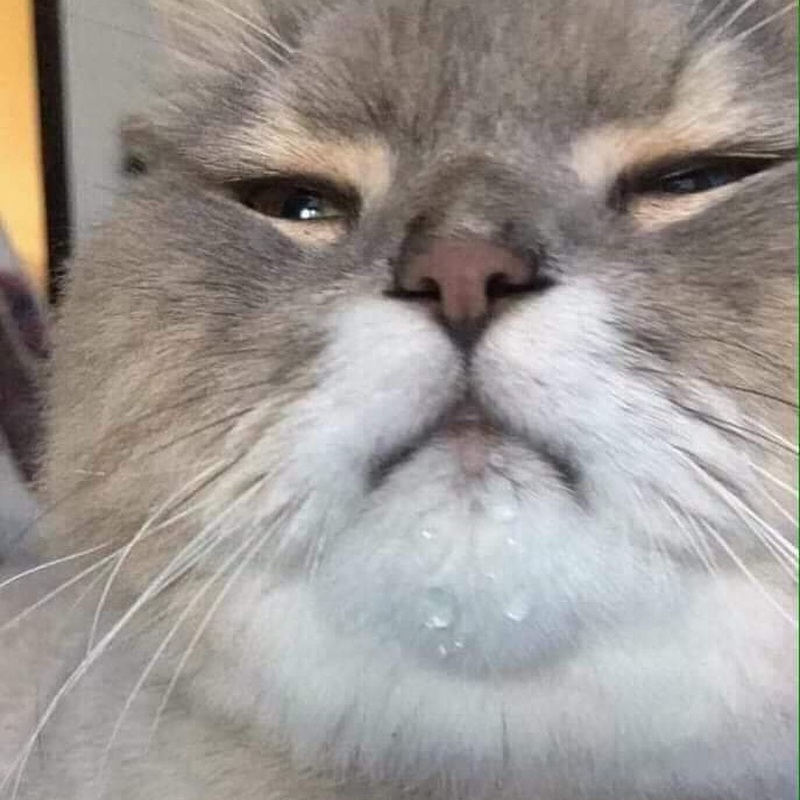 1620205838859.png