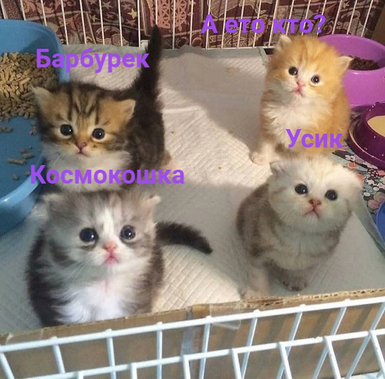 1620220127745.png