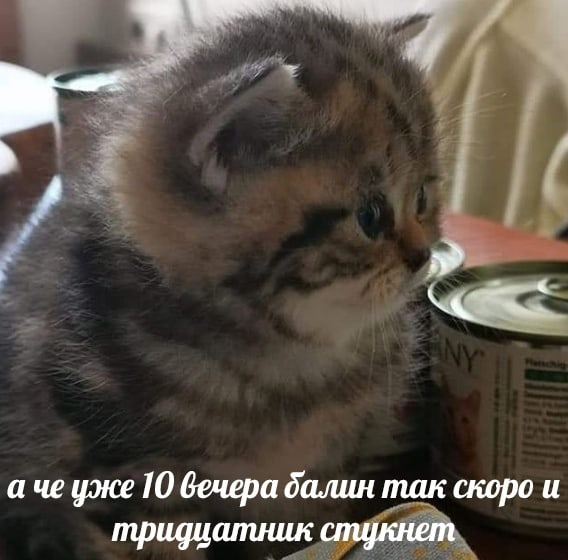 1620318263476.png