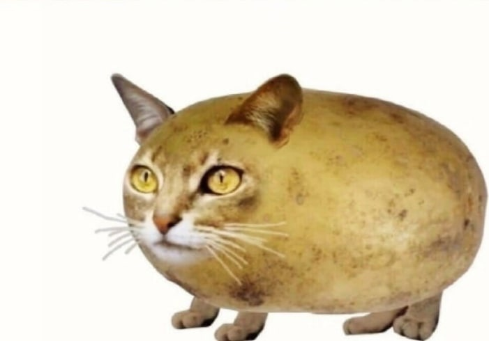 1620487037912.png