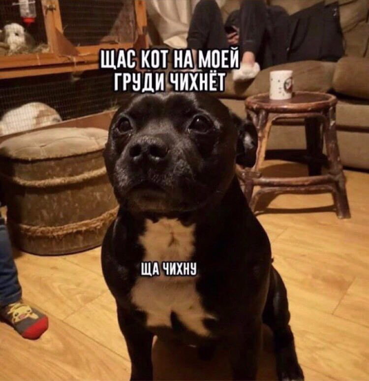 1620718302264.png