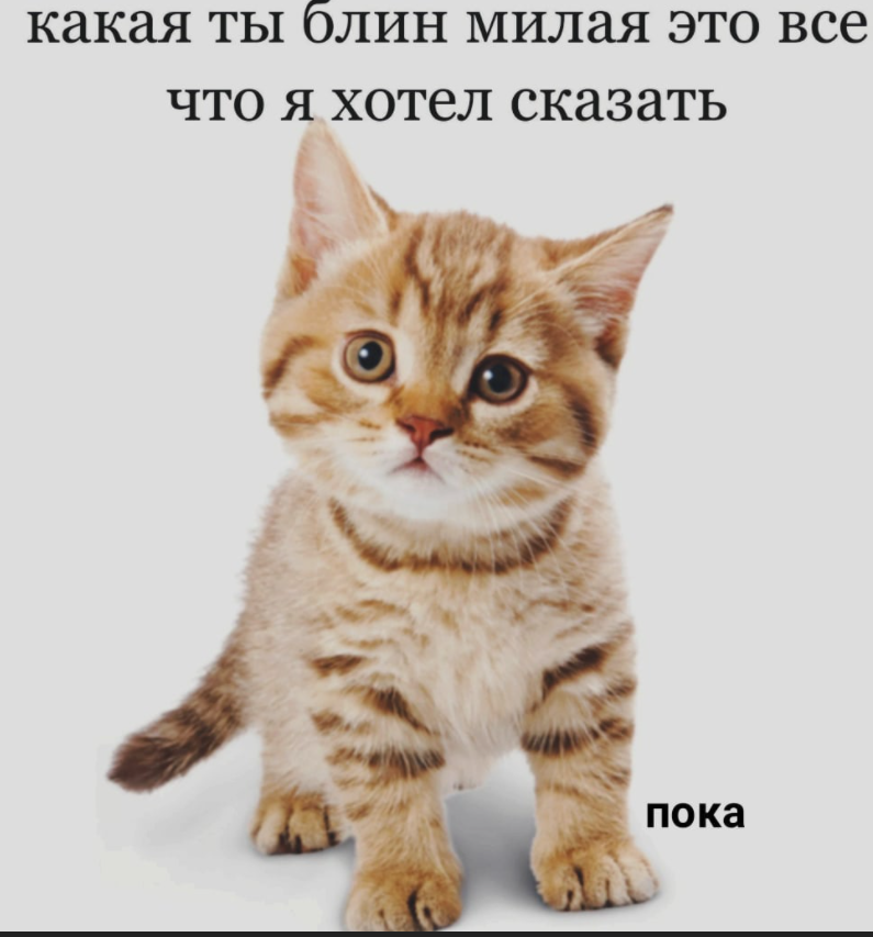 1621262986705.png