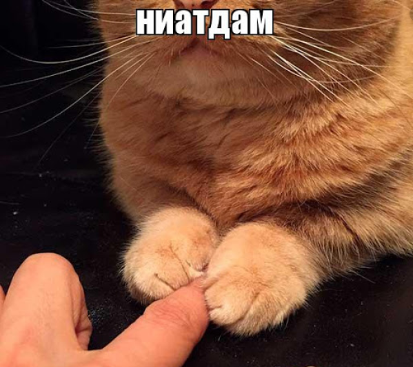 1621265488448.png