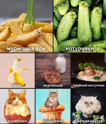 1621328589646.png