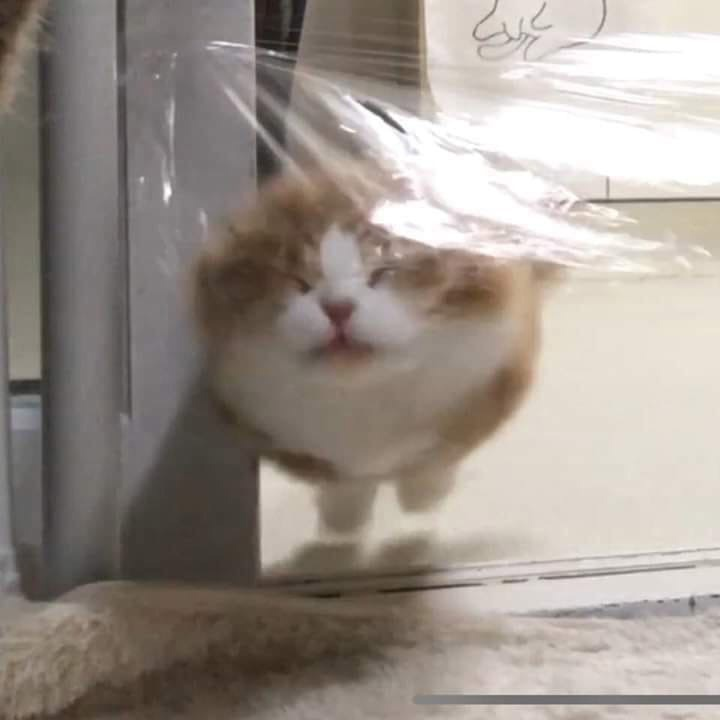 1621525006629.png