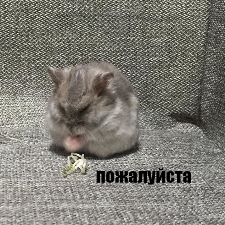 1622120108792.png