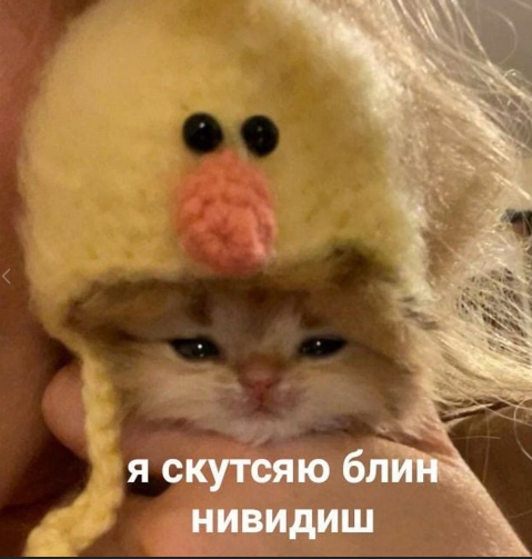 1622120543500.png