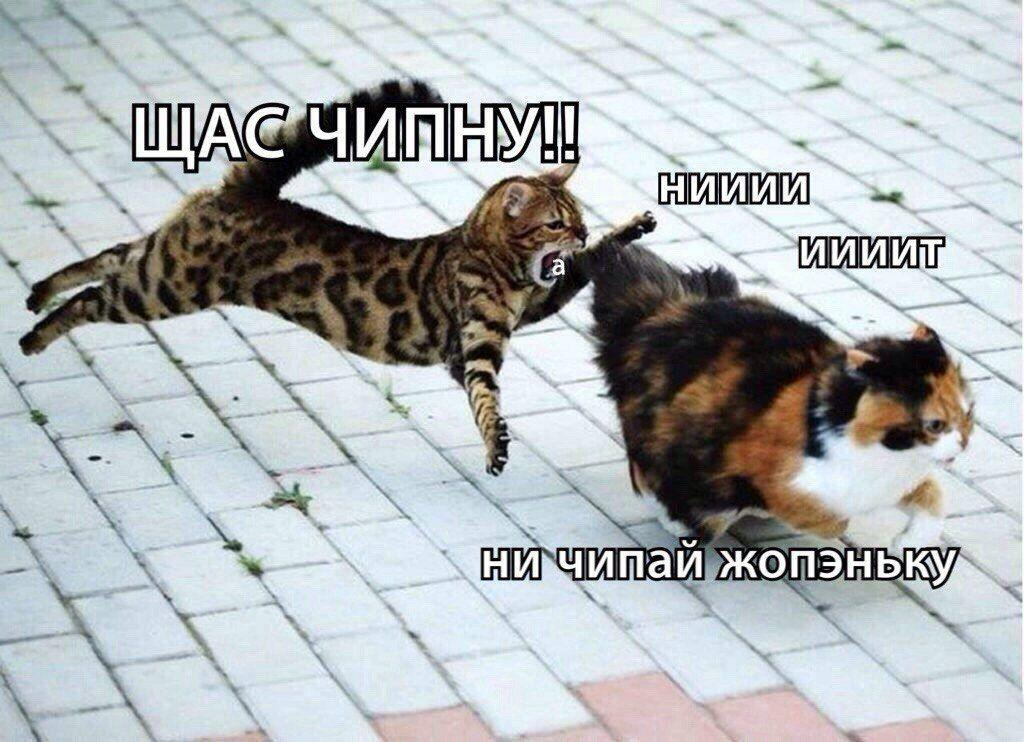1622138290906.png