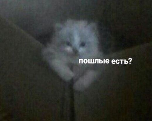 1622138483185.png