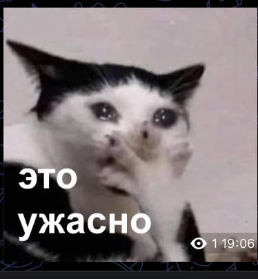 1629627B-9F49-469D-AC67-C55003D7FCEE.jpeg