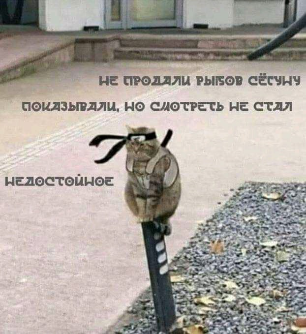 1633205088848.png