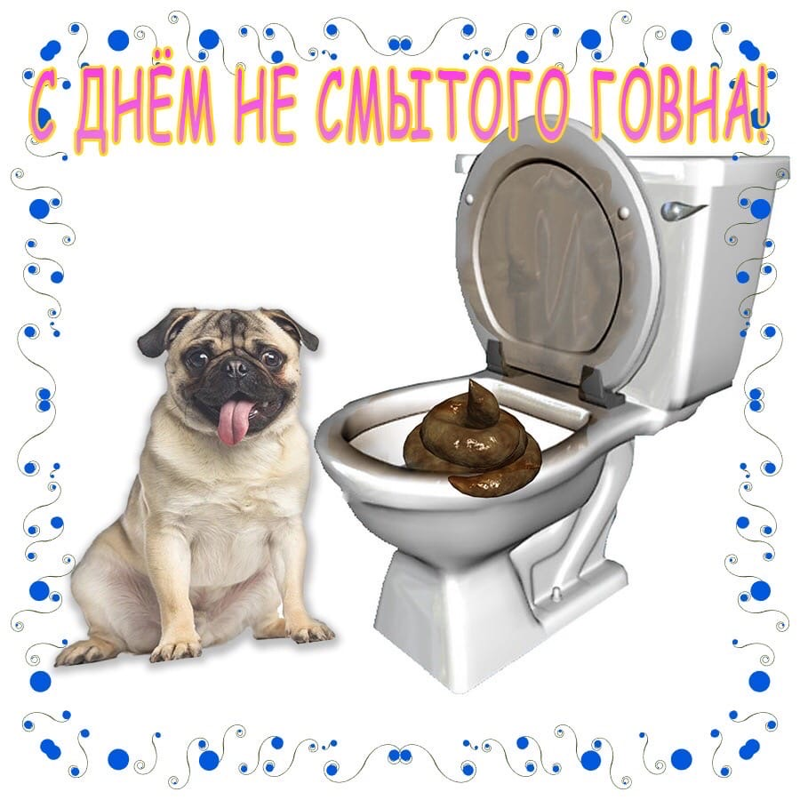 1637477831187.png