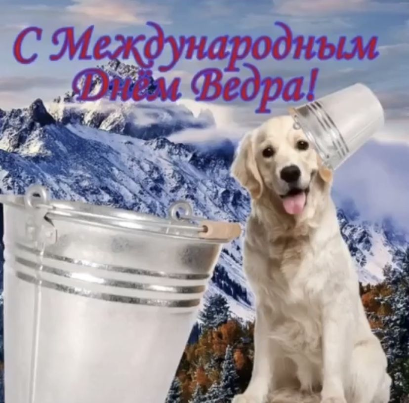 1638167716800.png
