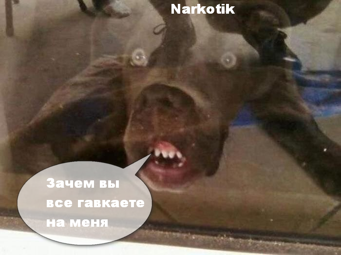1639121622159.png
