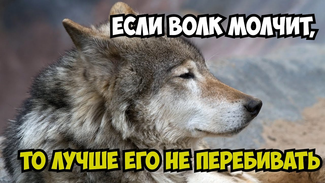 1648213714062.png