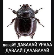 1649788995546.png