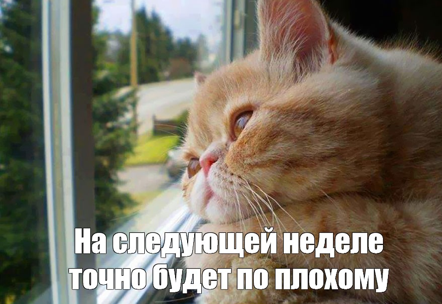 1652556098269.png
