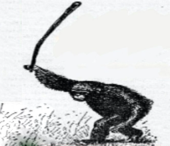 1654169208731.png