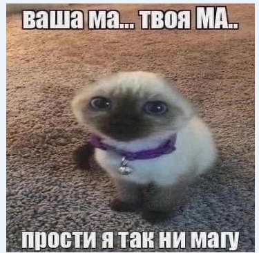 1660760888651.png