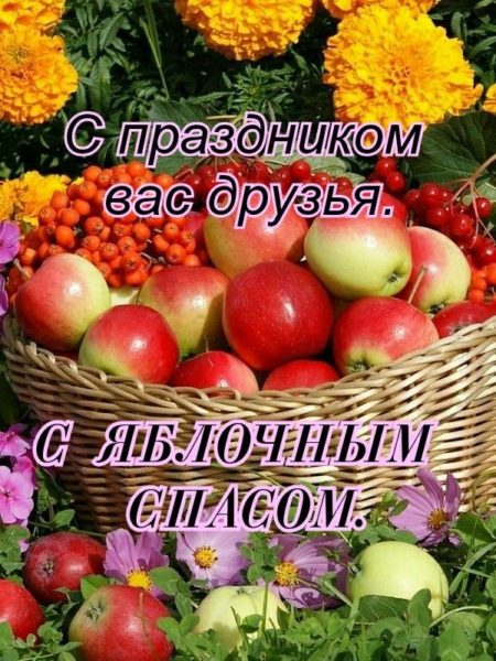 1660875163694.png