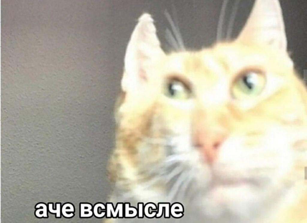 1665401221652.png