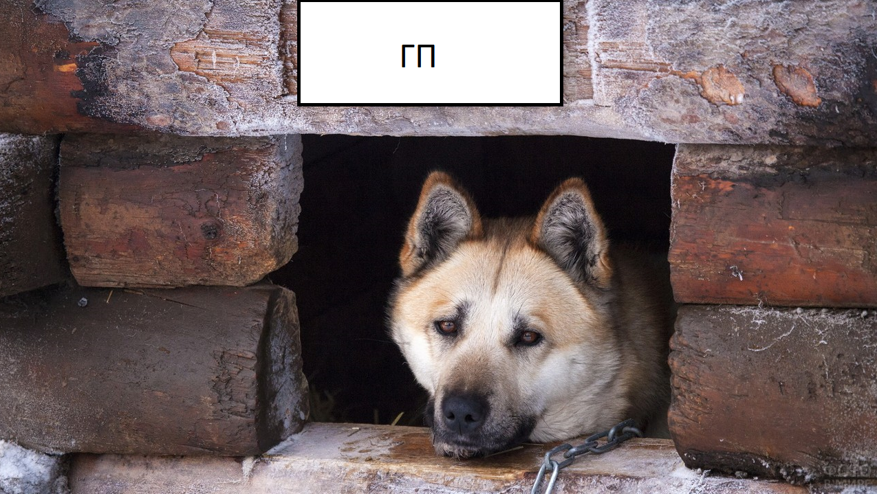 1665404017862.png