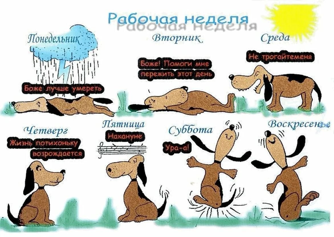 1666289964_16-mykaleidoscope-ru-p-prikolnie-otkritki-s-nachalom-rabochei-ned-16.jpg