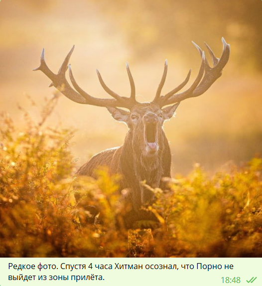 1666448106913.png 1666448106913.png