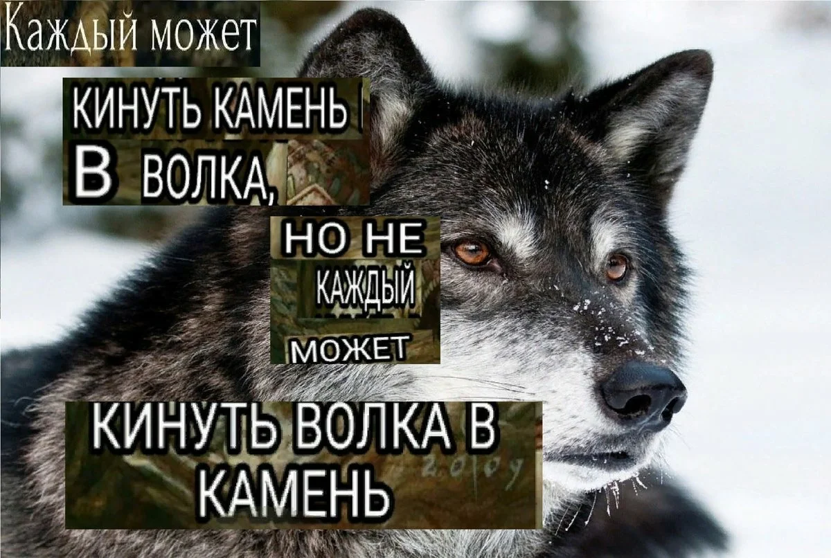 1667854860876.png