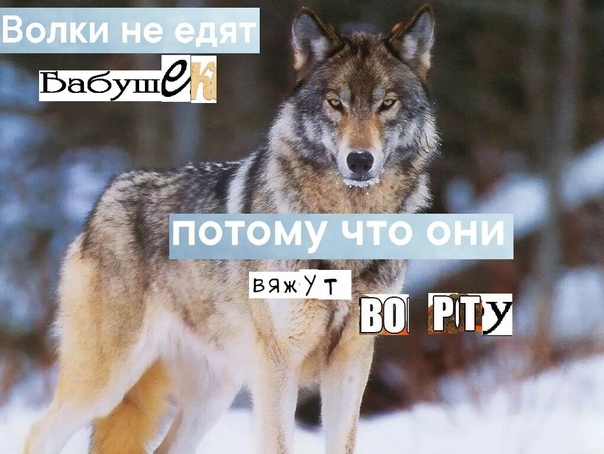 1668372926327.png