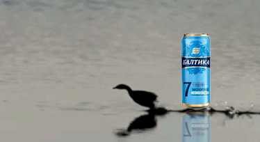 1668597588451.gif