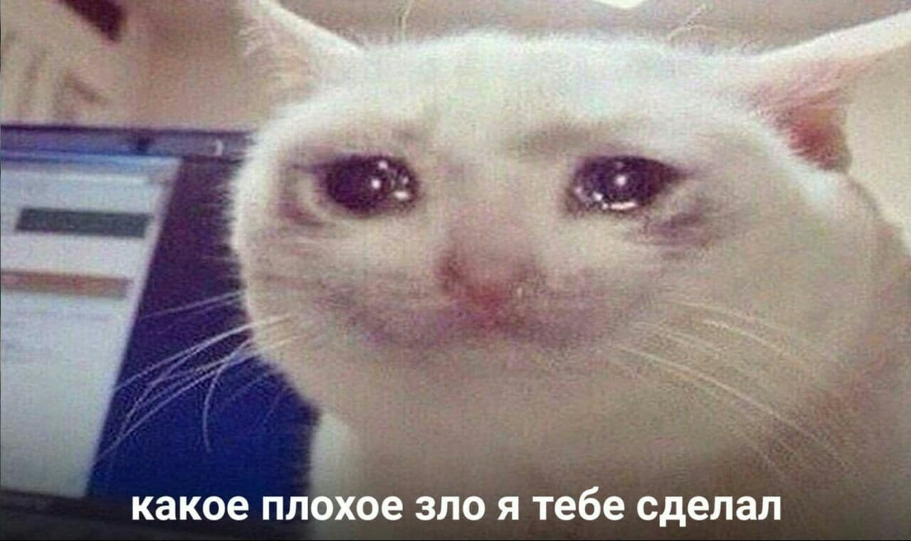 1668797633109.png