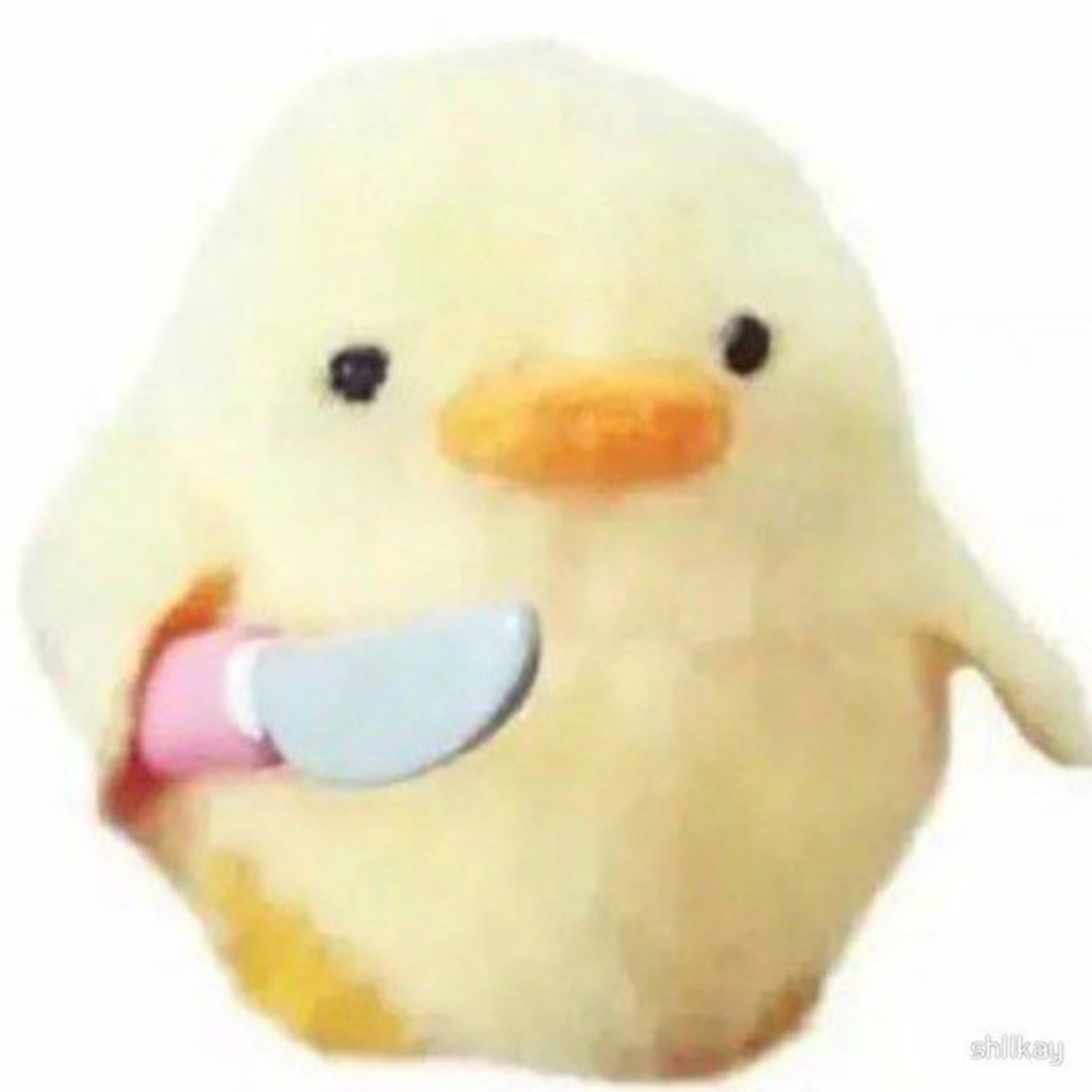 1668828519308.png